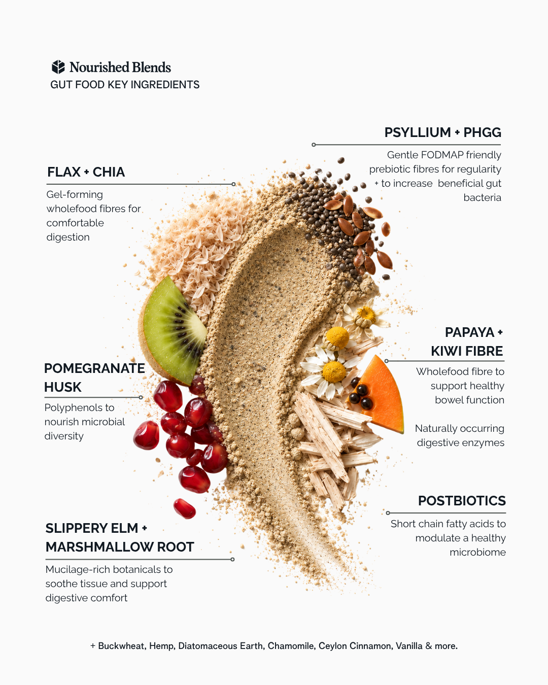 Gut Food
