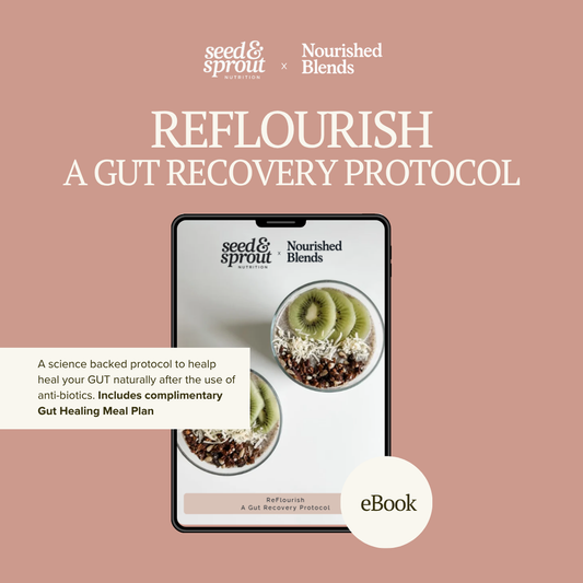 ReFlourish Gut Healing Protocol - eBook